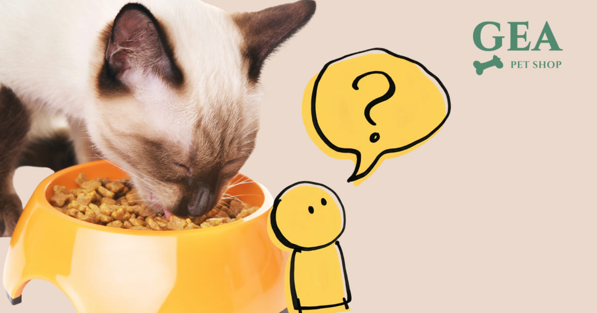 Cosa Mangiano i Gatti: Dieta Naturale, Preferenze e Consigli Nutrizionali