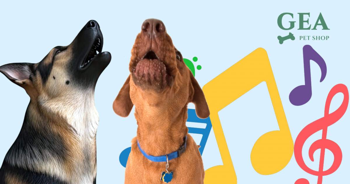 Perché i Cani Ululano: Cause, Significato e Come Gestirlo