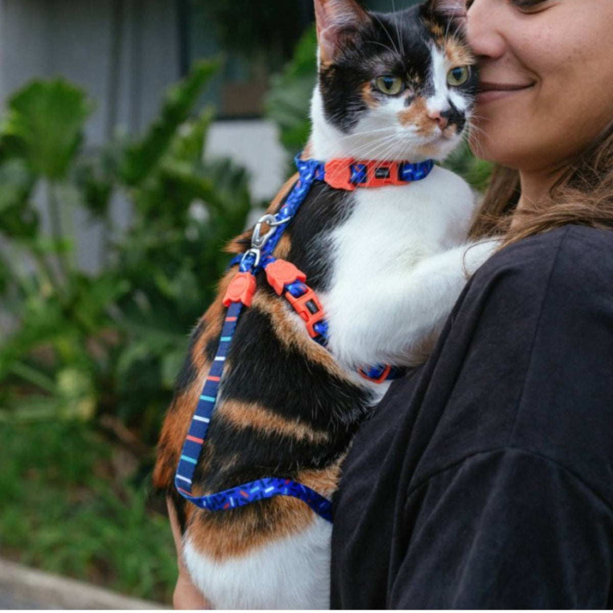 Zee.Cat Set Pettorina e Guinzaglio per Gatti Atlanta