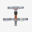 XS torace 23-38 cm