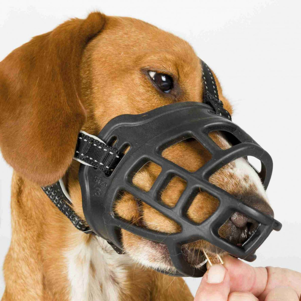 Trixie Museruola Flex Muzzle in Gomma per Cani