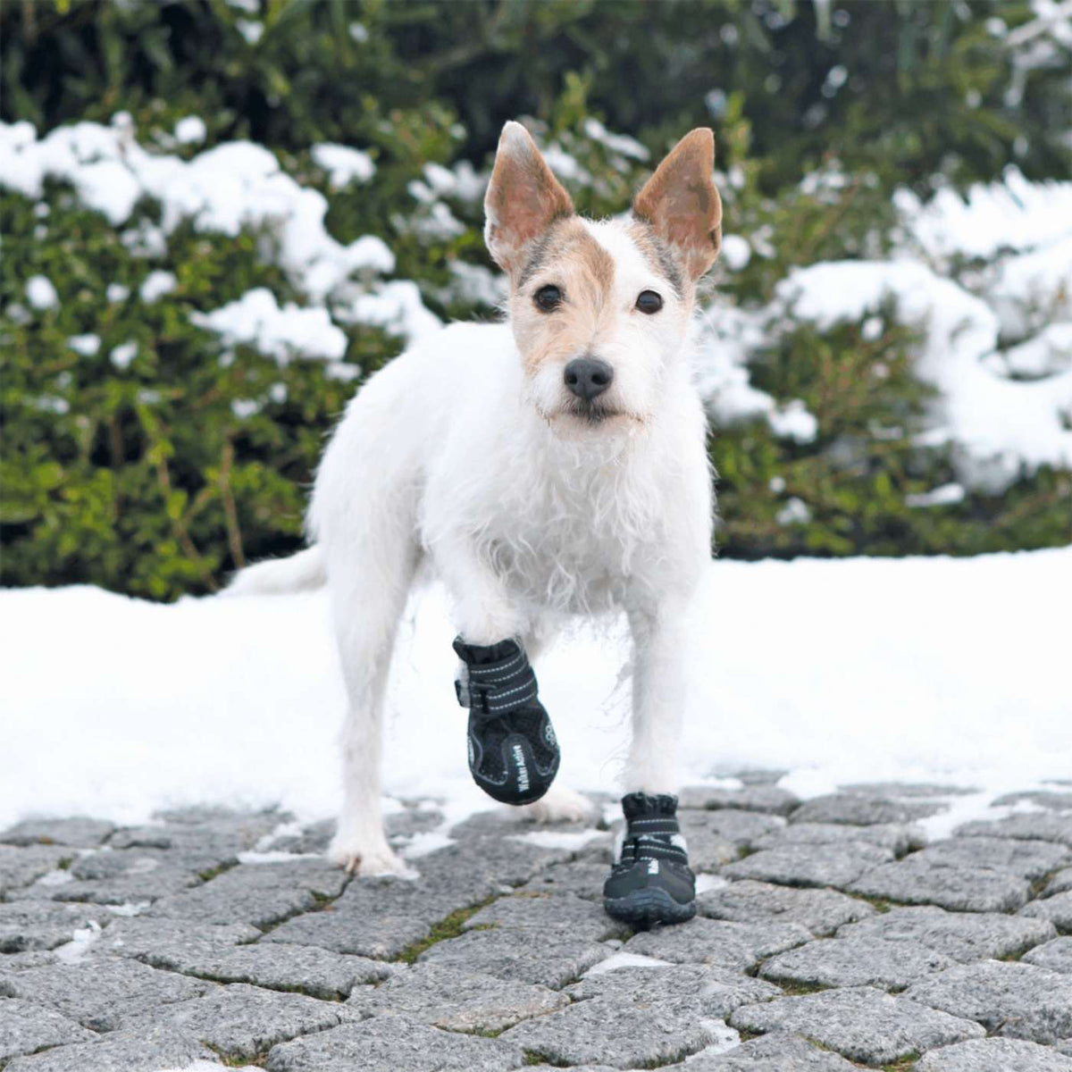 Trixie Walker Active Scarpette Protettive Zampe per Cani