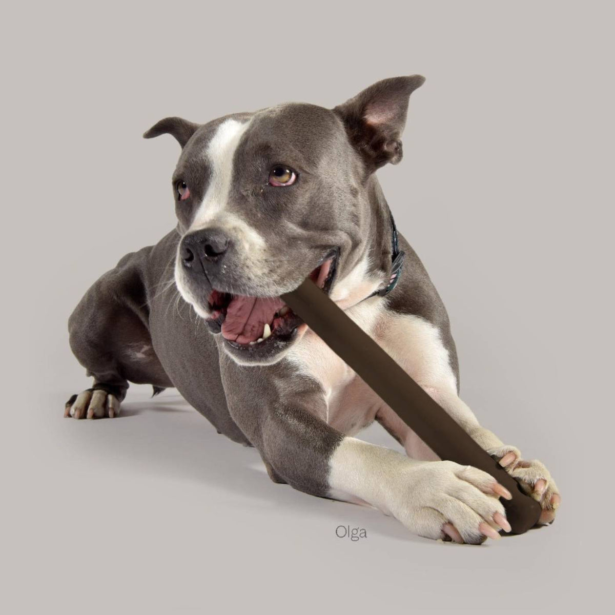 United Pets Gioco in Gomma per Cani Mr. Branch