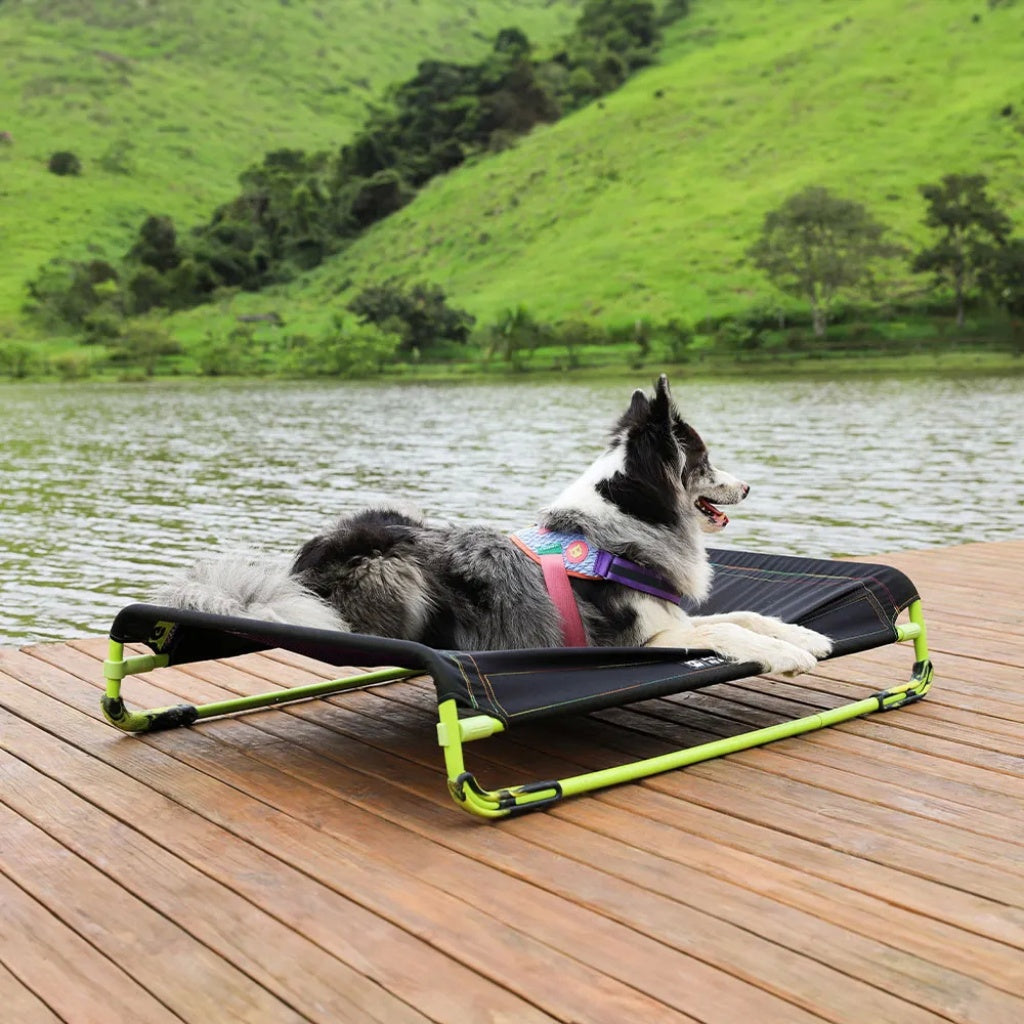 Zee.Dog Brandina per Cani Cuccia Air.Bed Nera