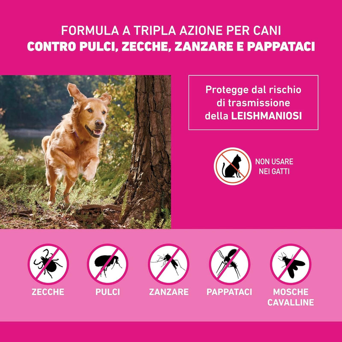 Frontline Tri-Act Spot-On Antiparassitario per Cani 6 Pipette