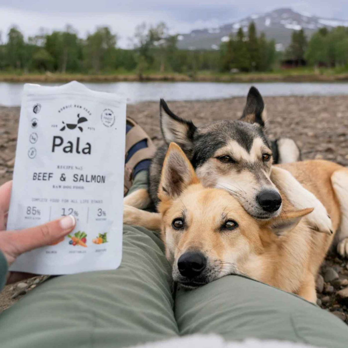 Pala Alimento Completo per Cani con Manzo &amp; Salmone Ricetta N° 3