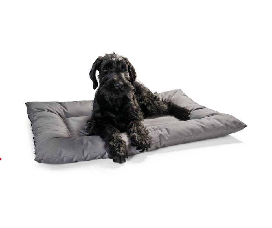 Hunter Cuscino Letto per Cani Gent Antibatterico Grigio 80 x 60 cm