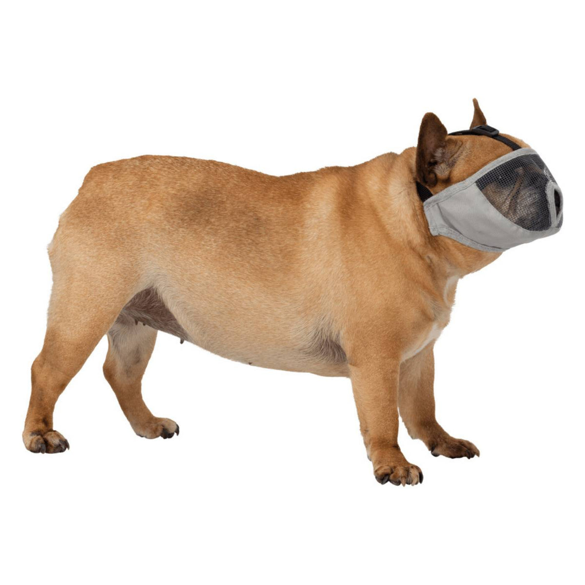 Trixie Museruola per Cani Razze Muso Corto