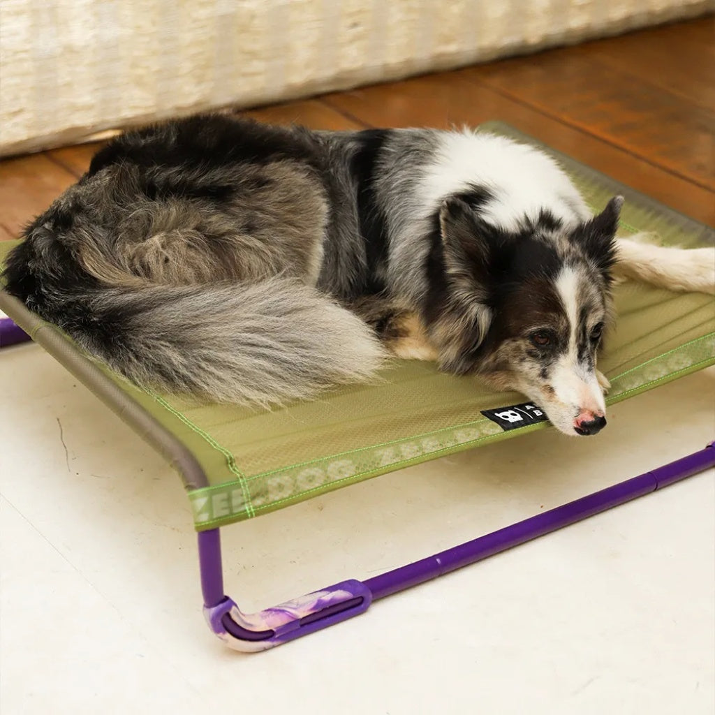 Zee.Dog Brandina per Cani Cuccia Air.Bed Verde