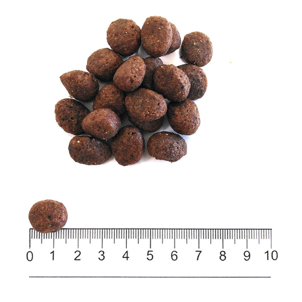 Prolife Grain Free Sensitive Adult Medium Large Manzo e Patate per Cani 10 Kg
