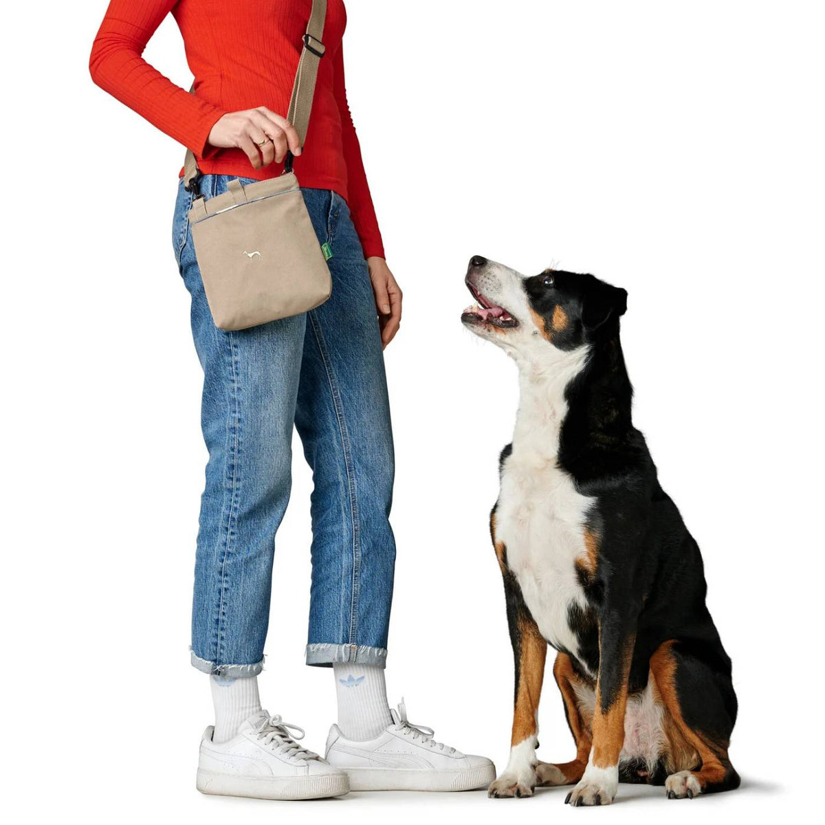 Hunter Borsa a Tracolla Porta Premietti per Cani Alva