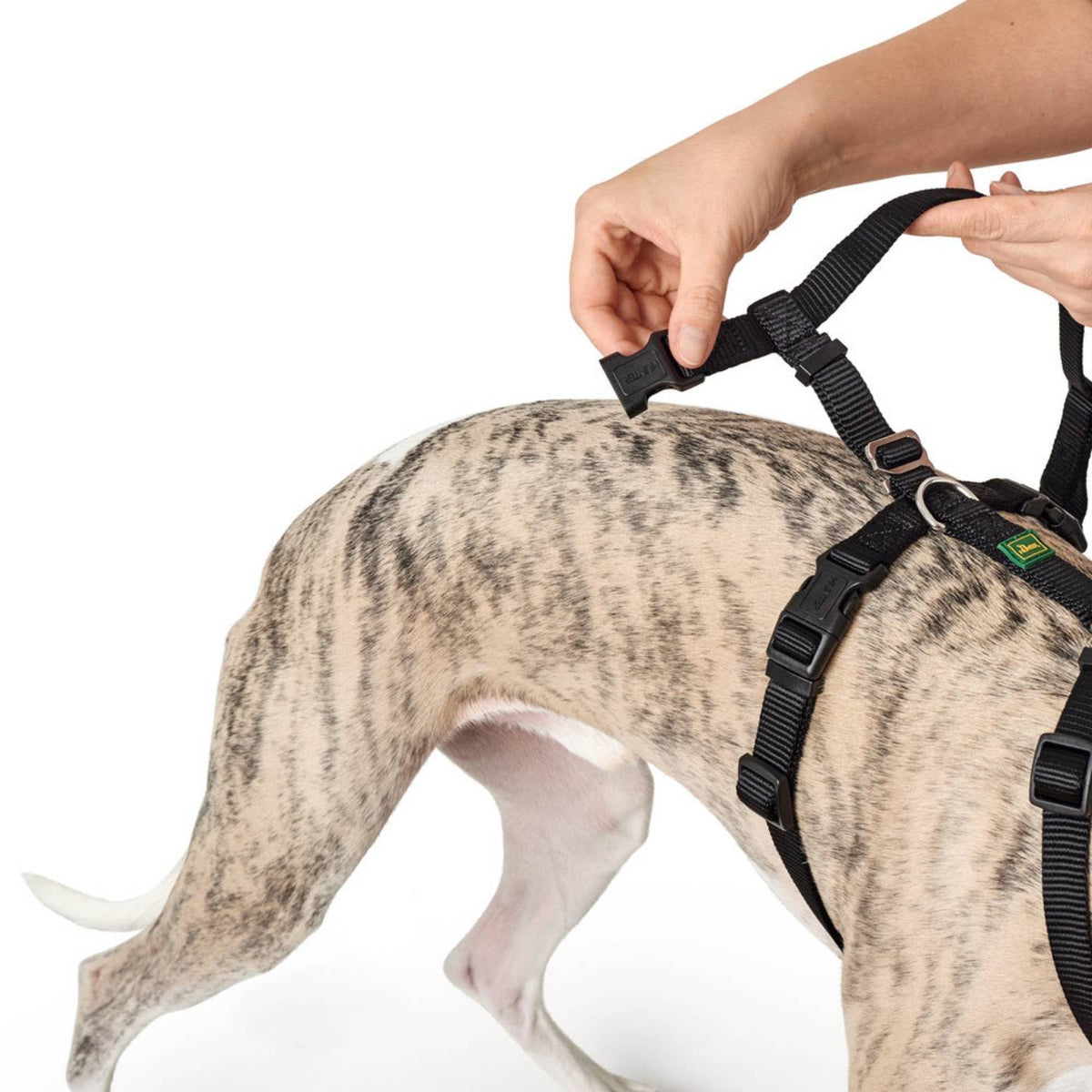 Hunter Pettorina Antifuga per Cani Vario Rapid Antip. Nylon