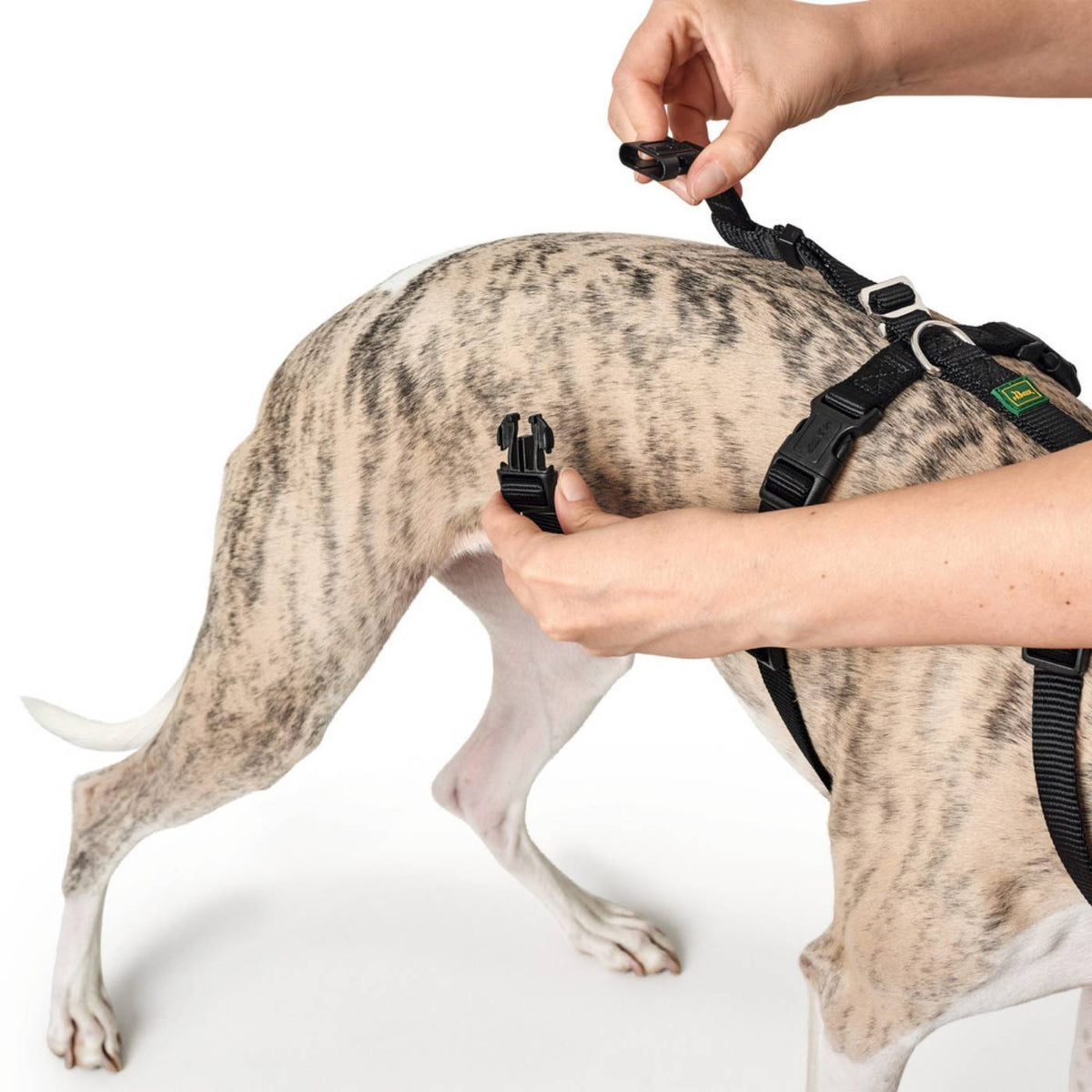 Hunter Pettorina Antifuga per Cani Vario Rapid Antip. Nylon