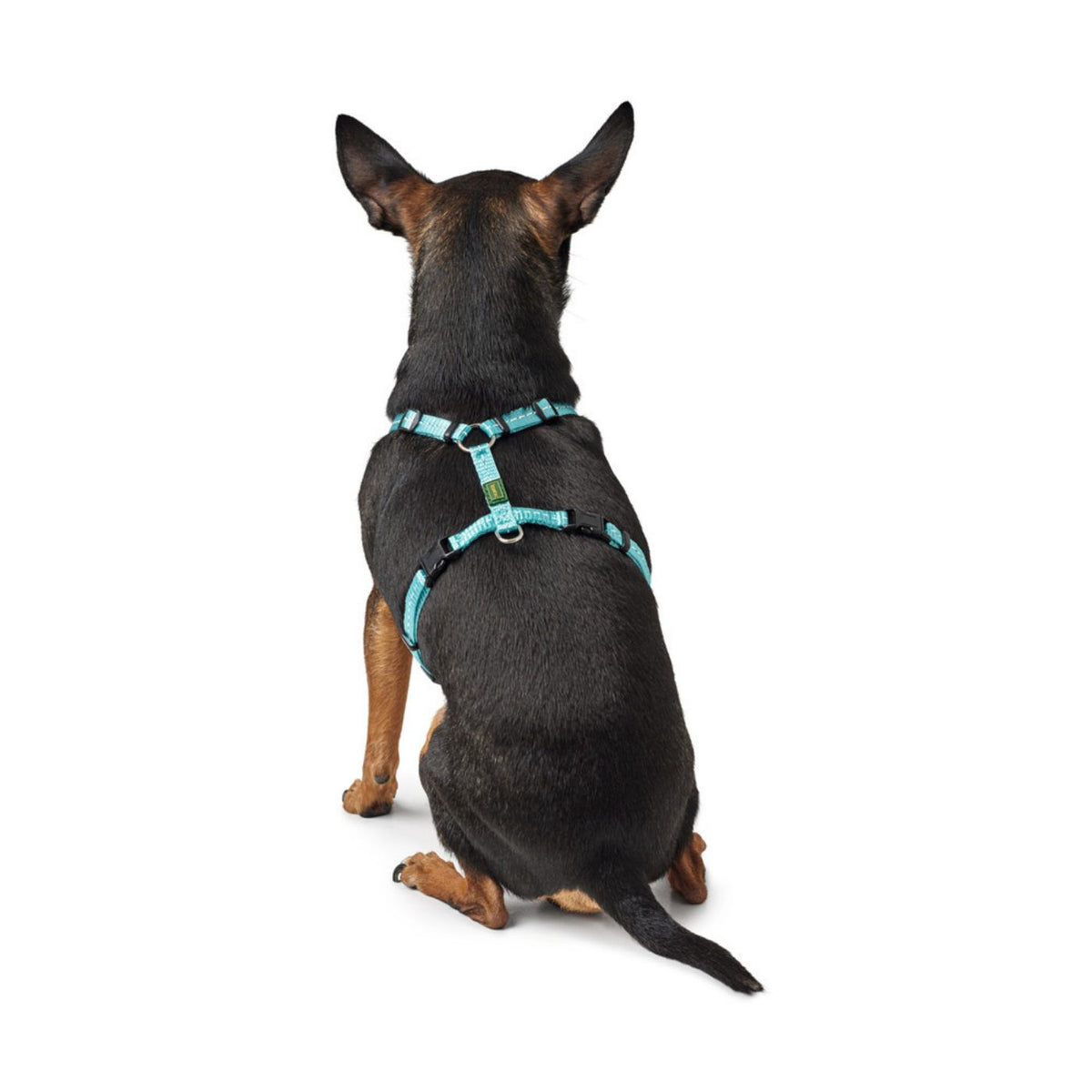 Hunter Pettorina ad H per Cani Tripoli in Nylon Azzurro Riflettente