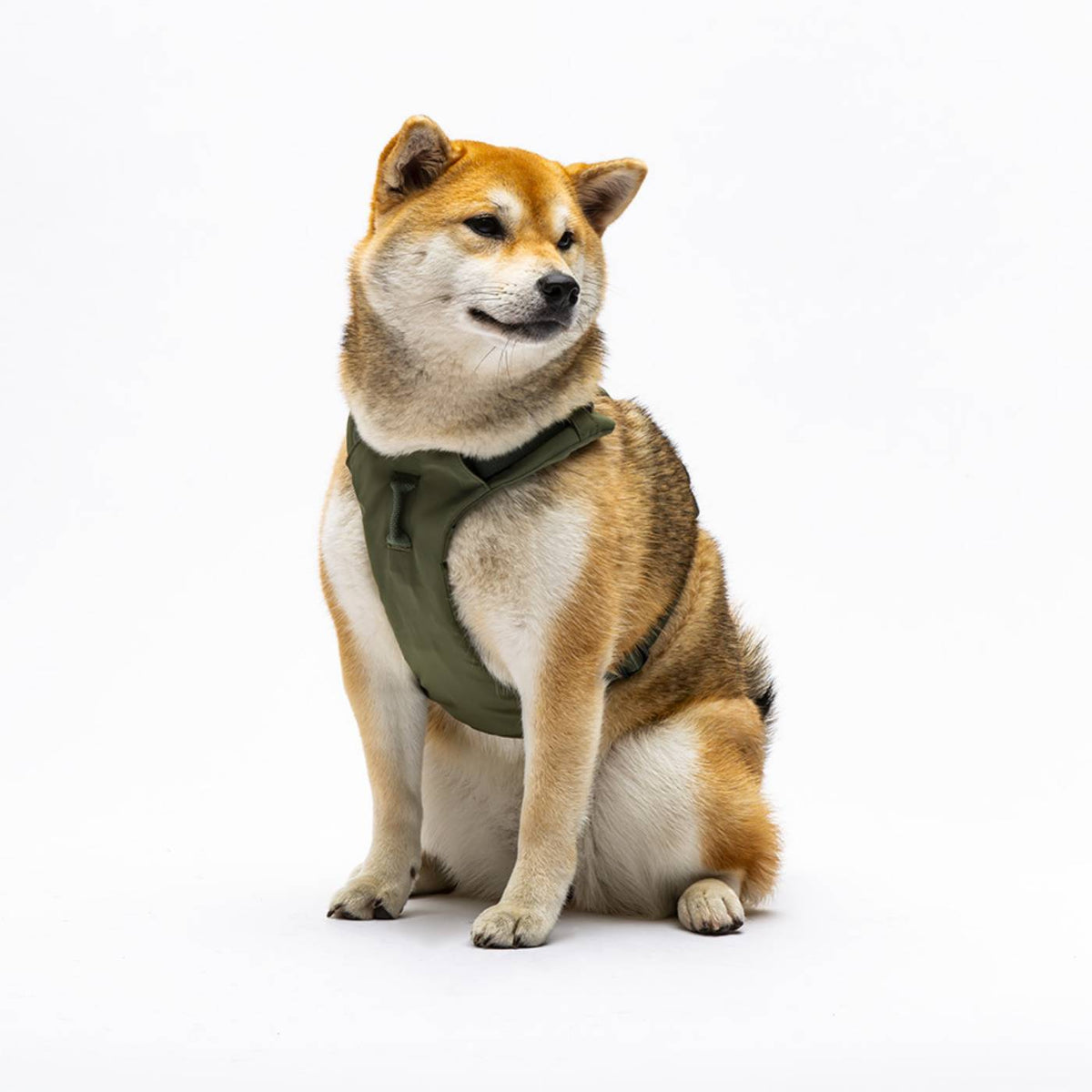 United Pets Pettorina H per Cani Imbottita Linea CityLife Verde Militare
