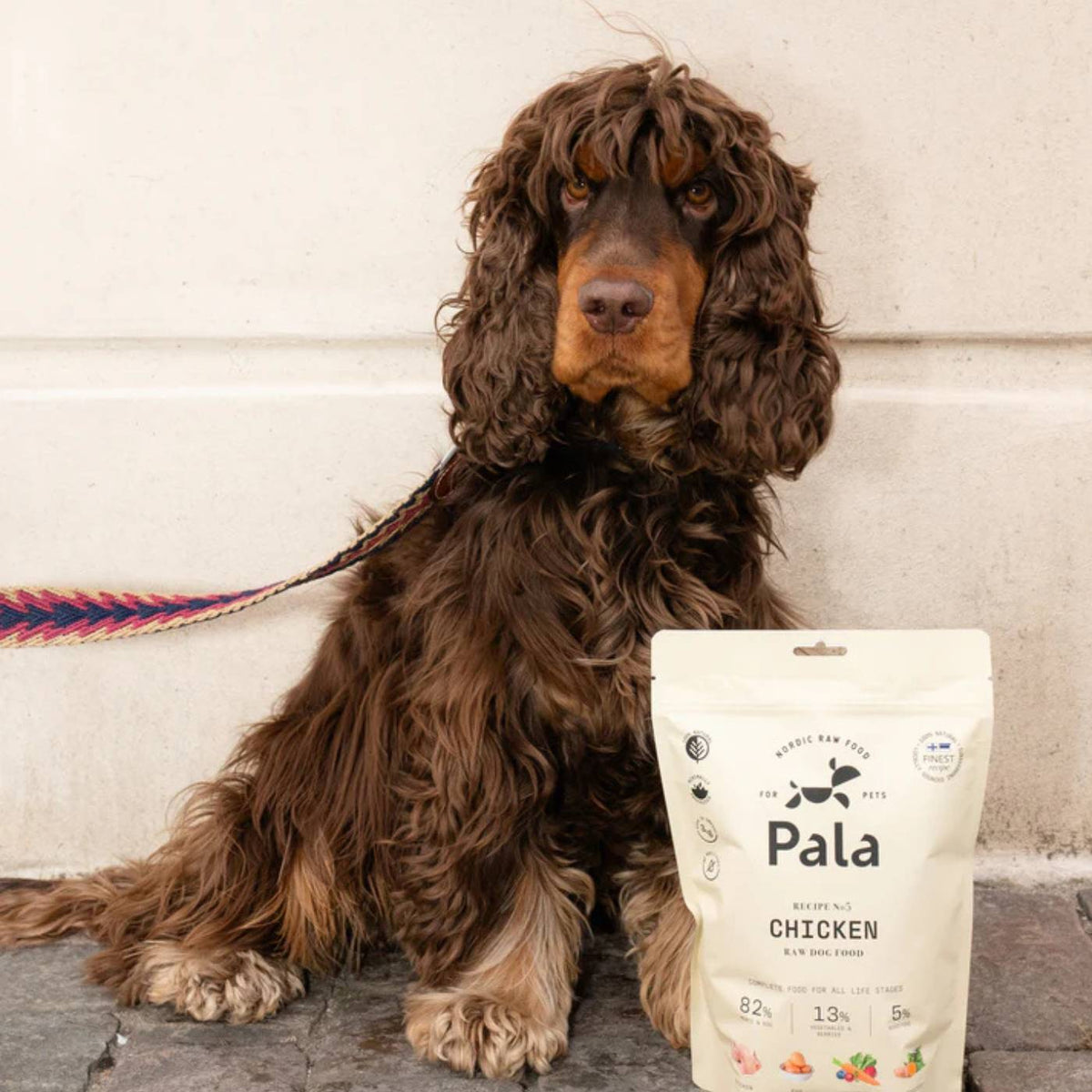 Pala Alimento Completo per Cani con Pollo Ricetta N° 5
