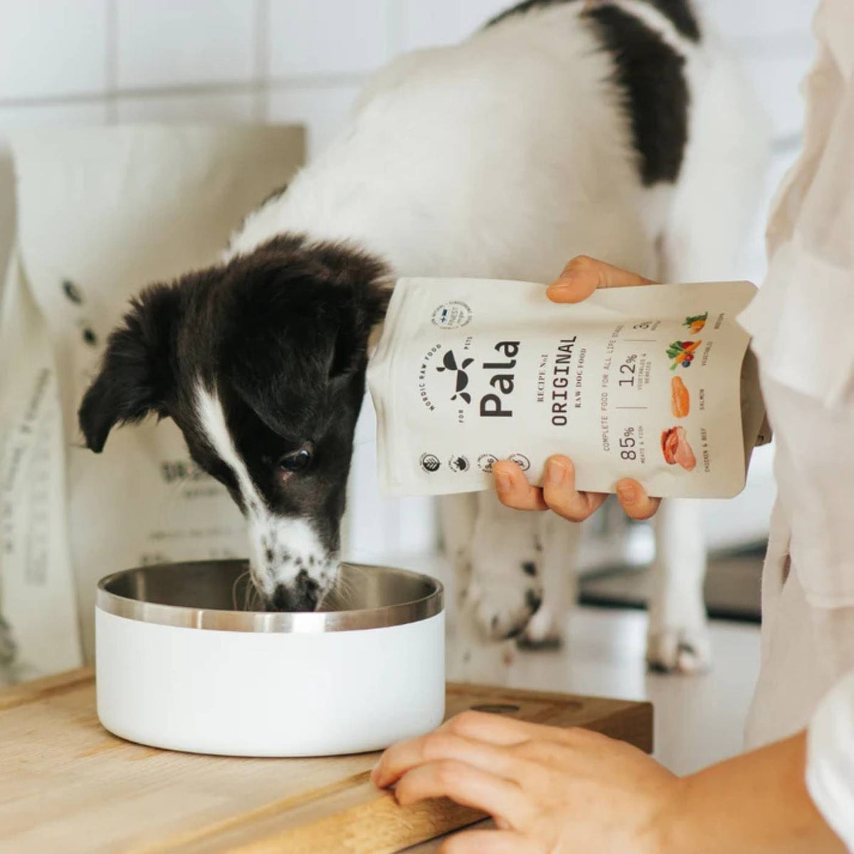 Pala Alimento Completo per Cani con Pollo Manzo &amp; Salmone Ricetta N° 1 Originale