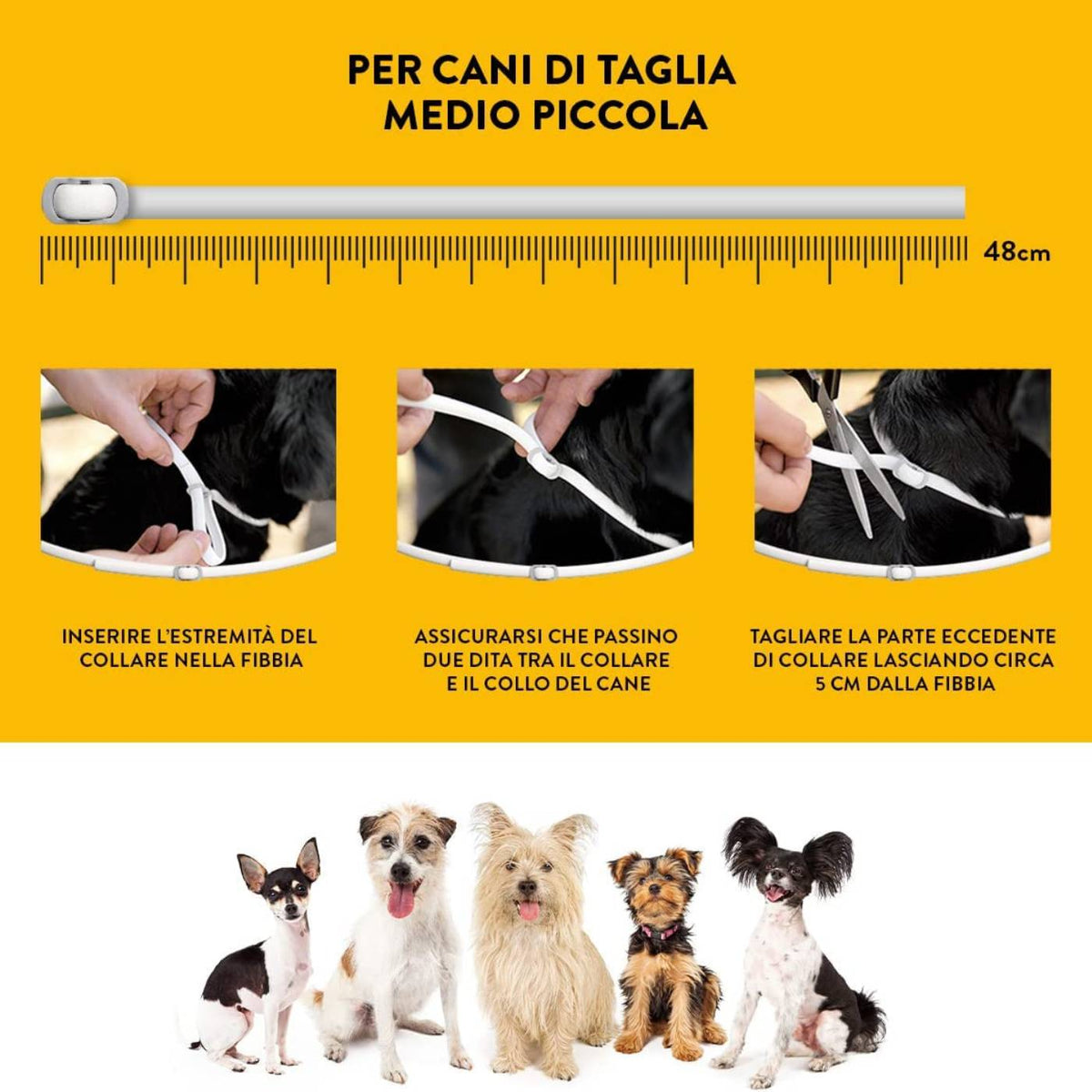 Scalibor Collare Antiparassitario per Cani