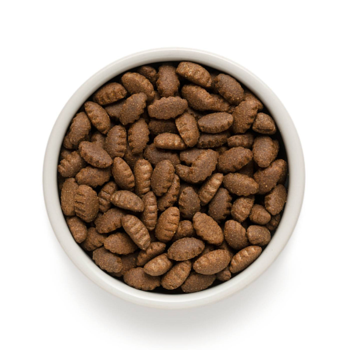 Grandorf Adult Agnello e Tacchino Maxi Large Breed per Cani Adulti di Taglia Grande