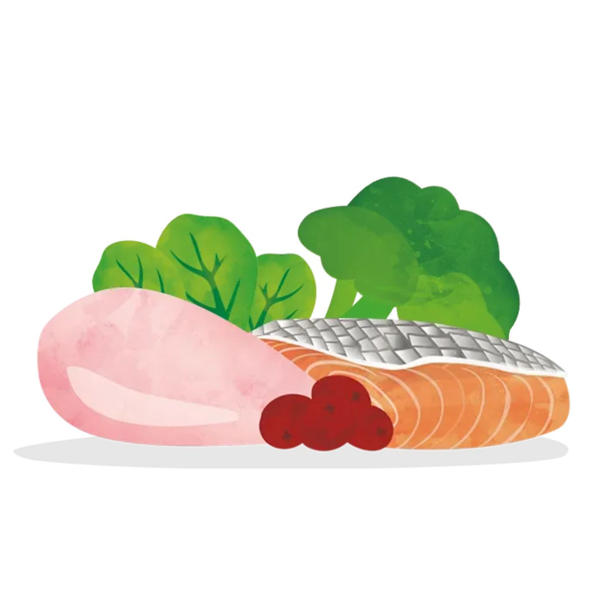 Edgard &amp; Cooper Umido per Cani Senior Pollo e Salmone con Broccoli e Mirtilli Rossi e Spinaci 400 g
