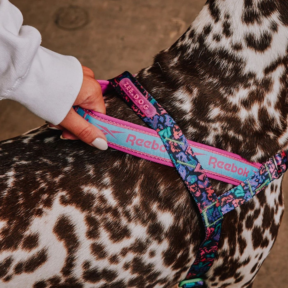 Zee.Dog Pettorina Norvegese Softer-Walk per Cani Reebok Aerobic