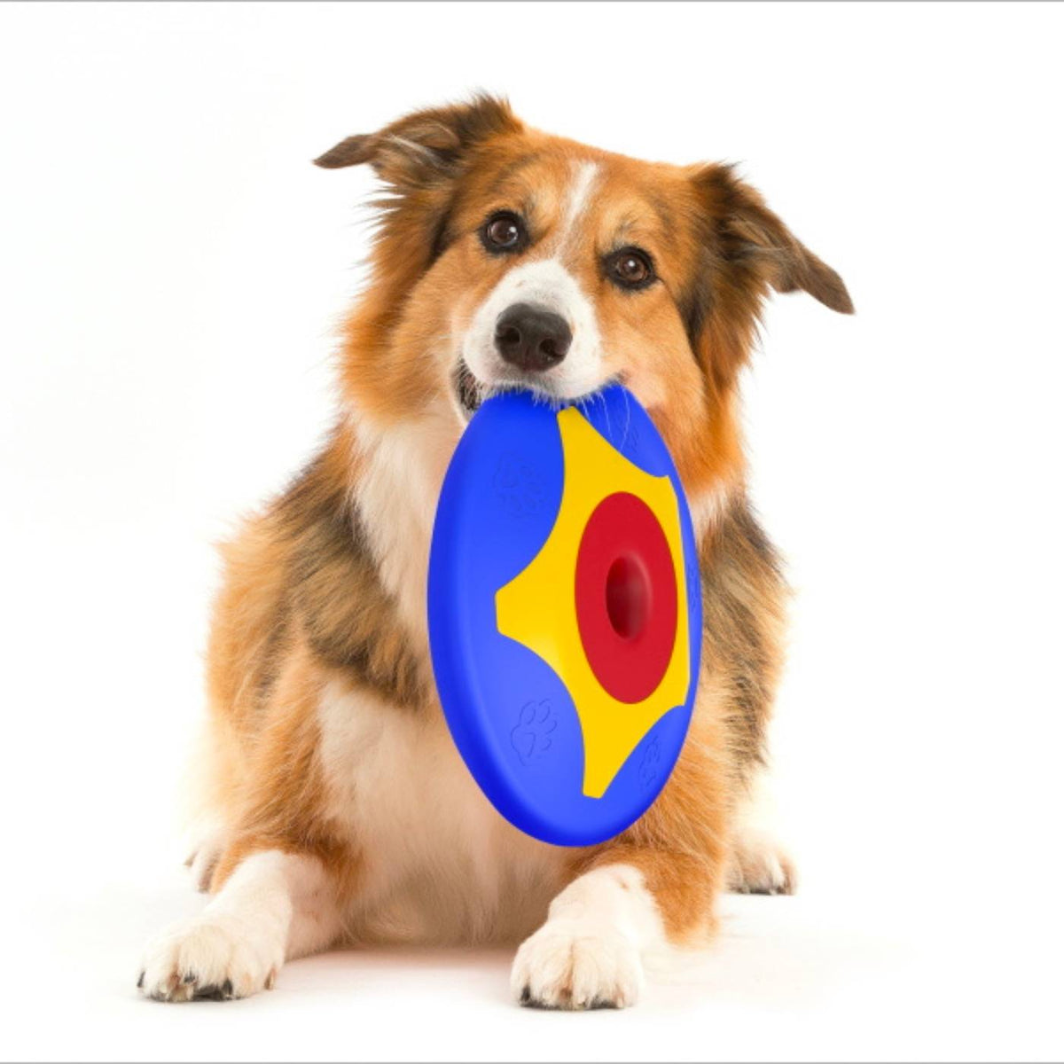 Bama Pet Frisbee Gioco per Cani Trotto Disk