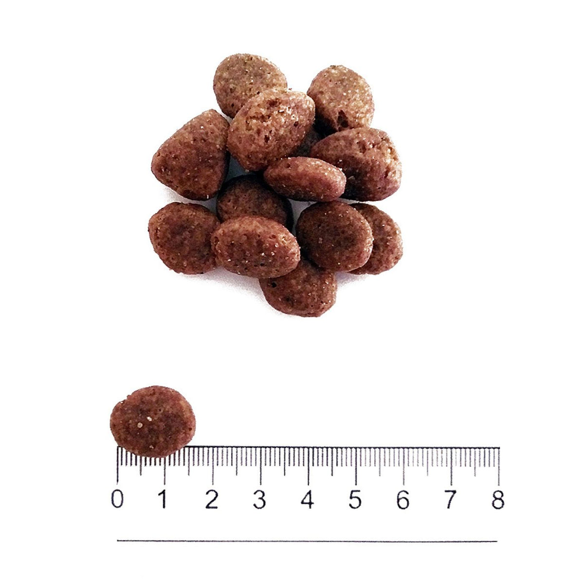 Prolife Grain Free Sensitive Adult Medium Large Maiale e Patate per Cani 10 Kg