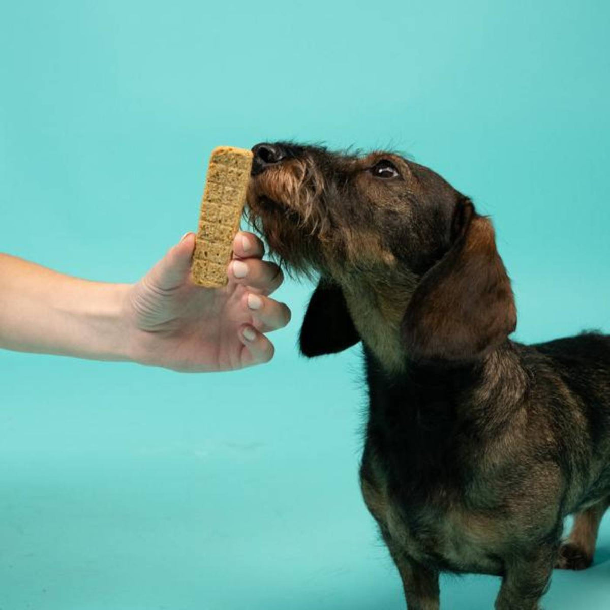 Edgard&amp;Cooper Strips Strisce di Agnello e Tacchino Snack per Cani 75 g