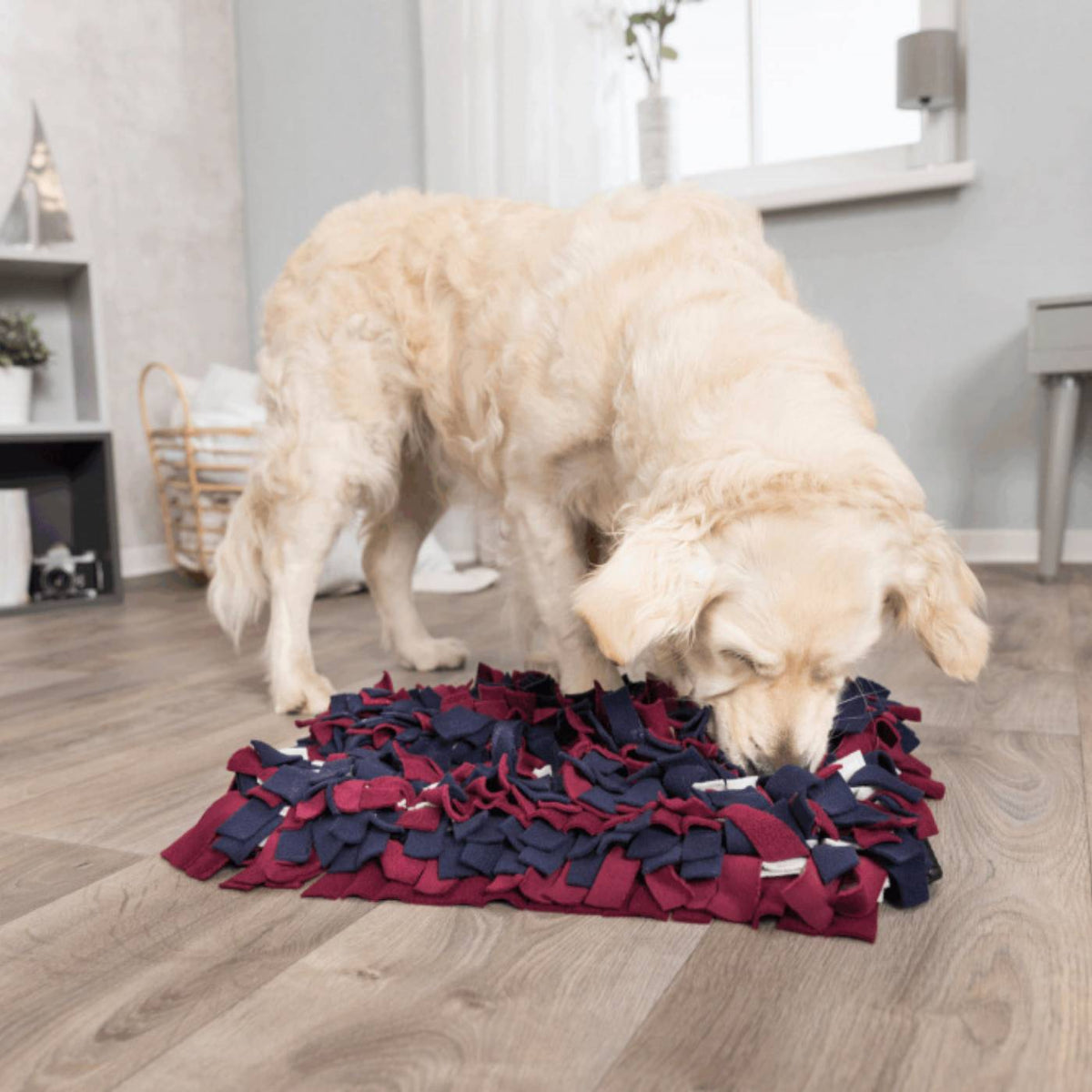 Trixie Tappetino Olfattivo Activity Snif Snif Gioco Strategico Livello 1 per Cani 50 x 34 cm