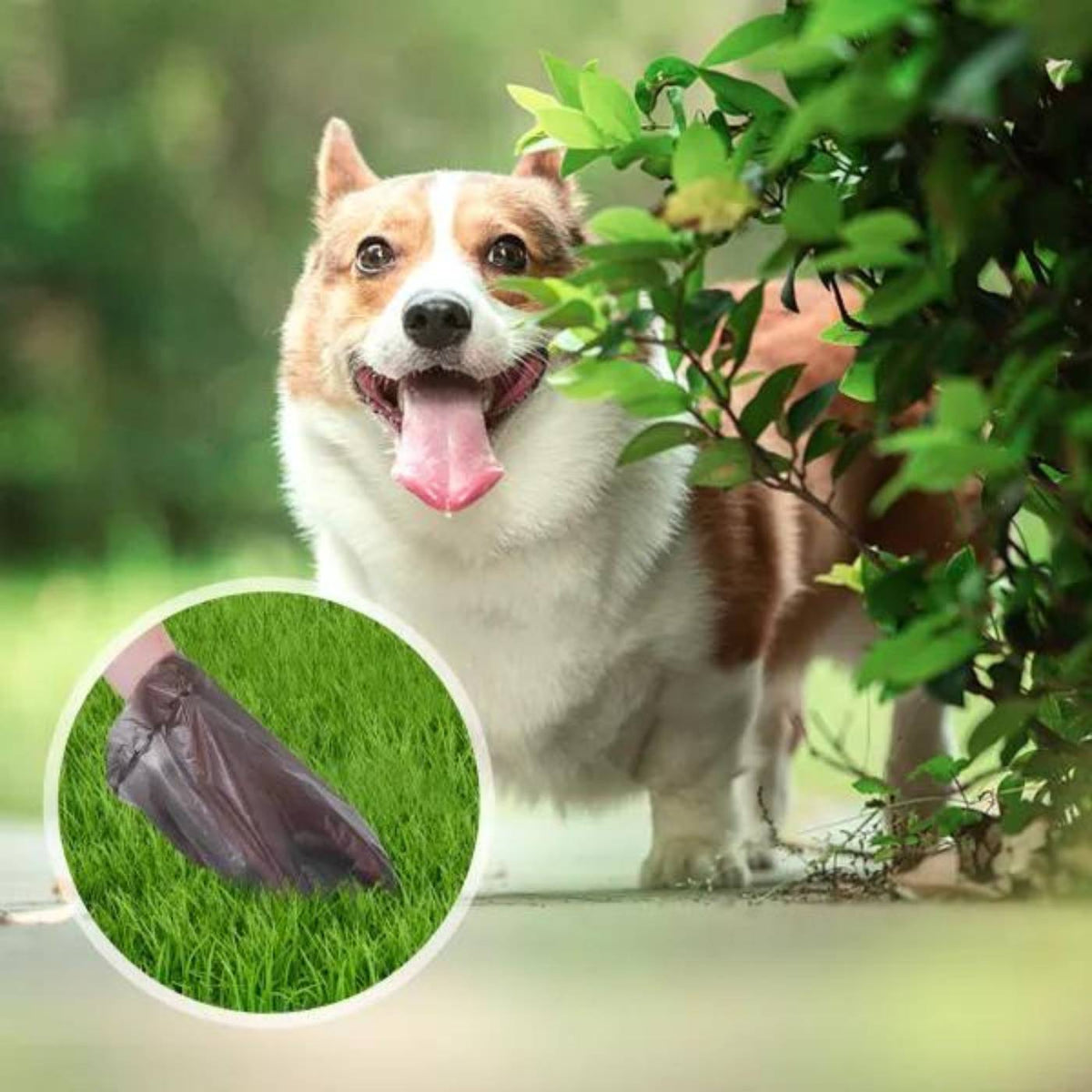Sacchetti Igienici per Cani - 20 Rotoli Neri Resistenti e Universali