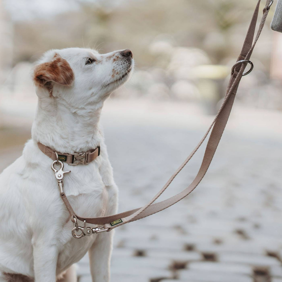 Hunter Guinzaglio per Cani Regolabile Inari 20 / 200 in Poliestere