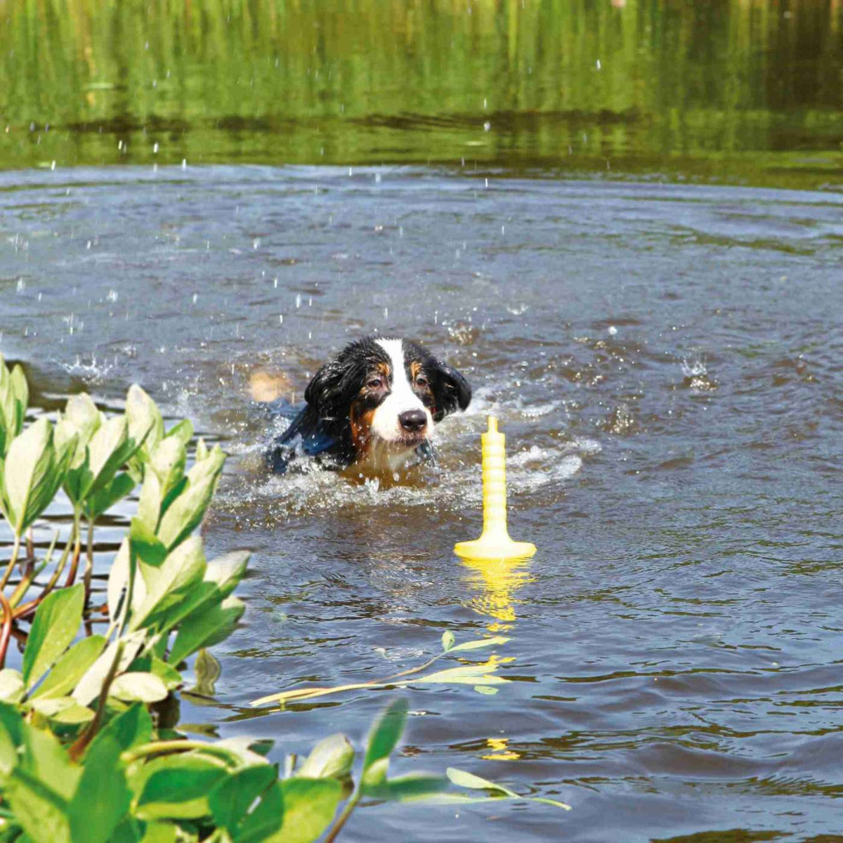 Trixie Gioco Activity Aqua Toy Mot®-Aqua 29 cm Galleggiante per Cani Giallo