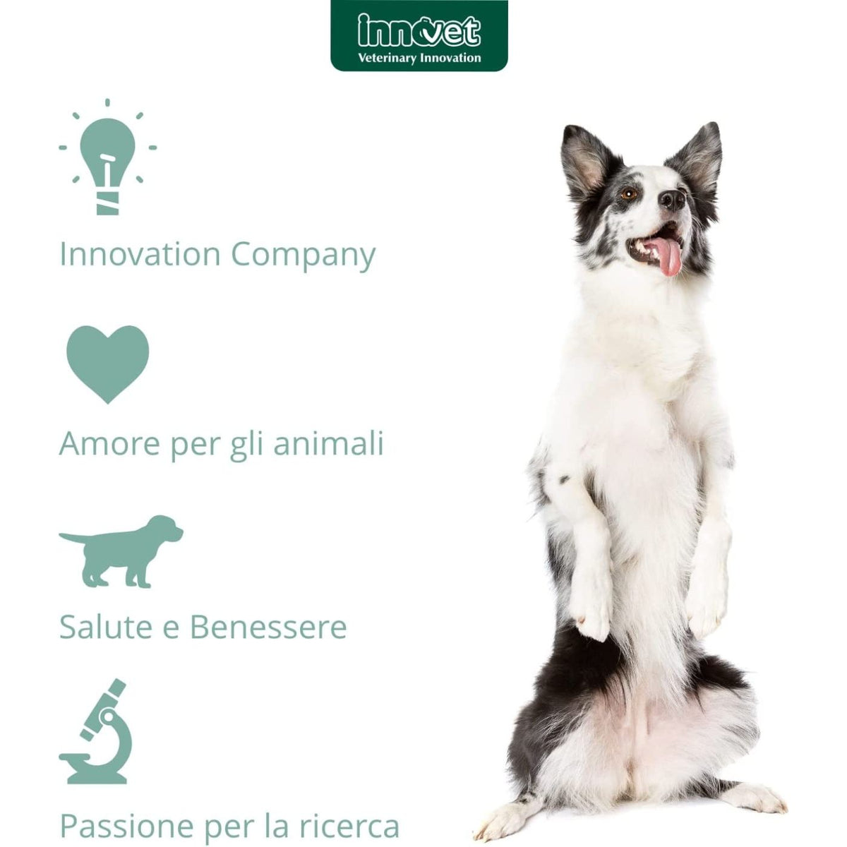 Normalia Extra Stick per Cani Innovet