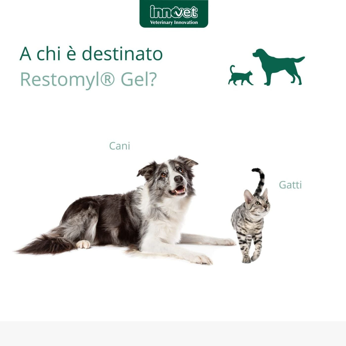 Restomyl Gel 30 ml per Cani e Gatti Innovet