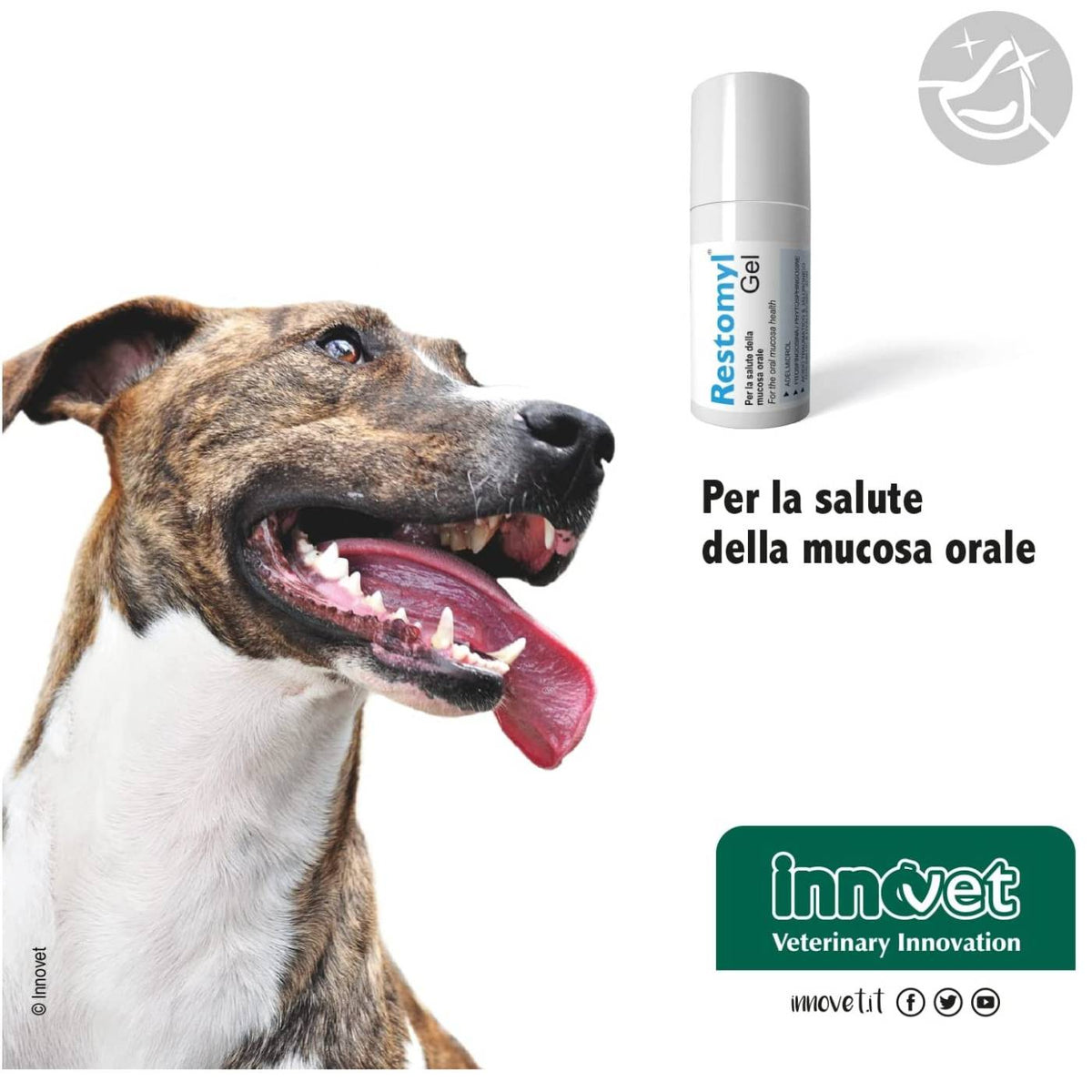 Restomyl Gel 30 ml per Cani e Gatti Innovet
