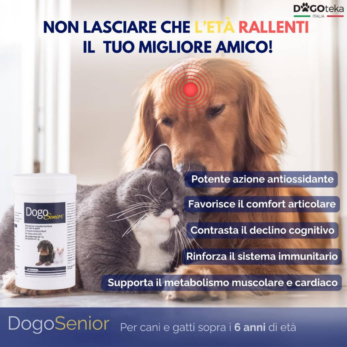 Dogoteka DogoSenior per Cani e Gatti 60 Compresse