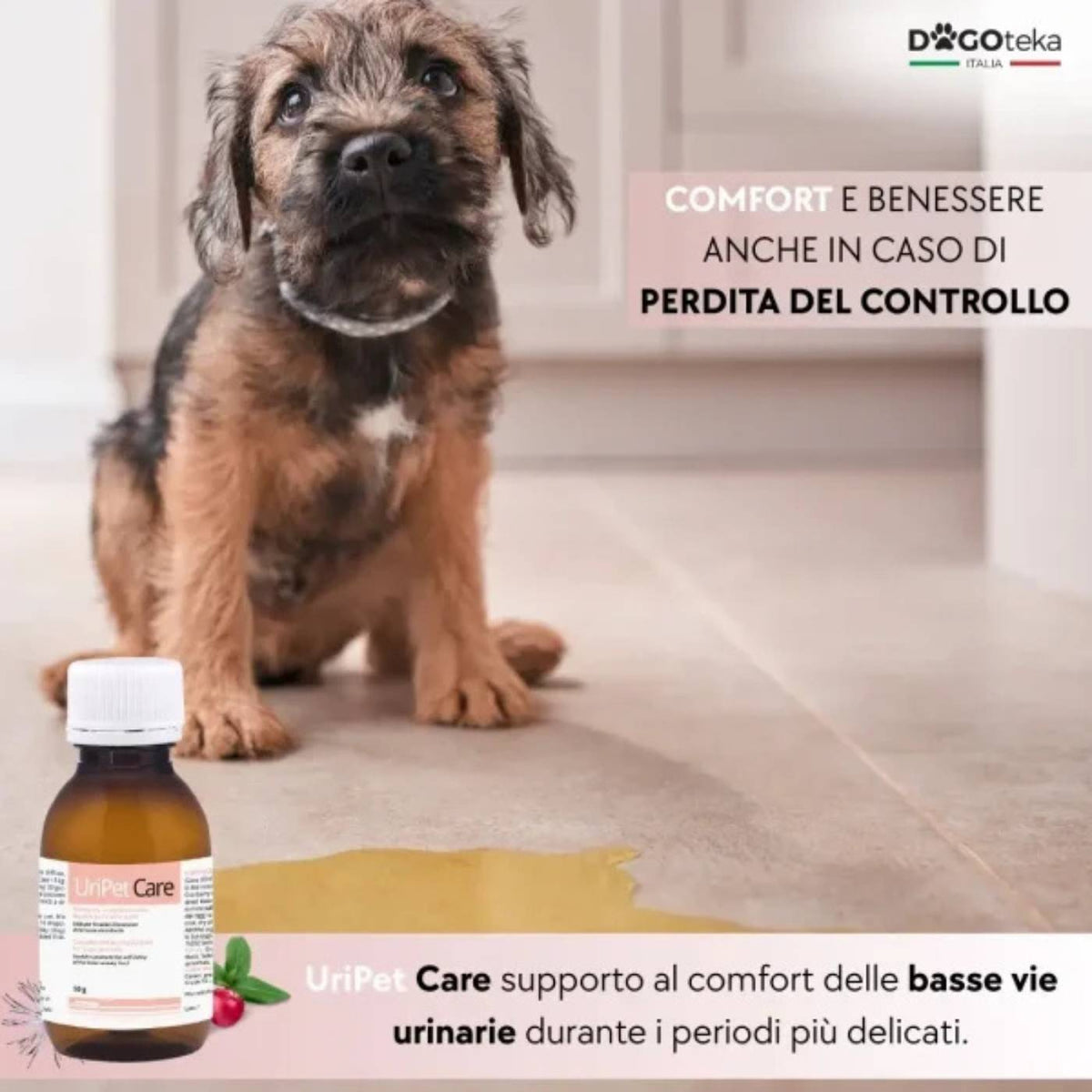 Dogoteka UriPet Care 50 gr