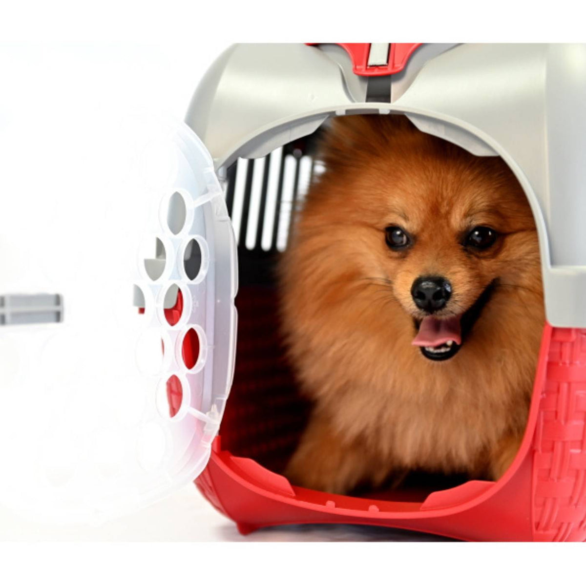 Bama Pet Trasportino per Gatti e Cani di Piccola Taglia Tour Bordeaux