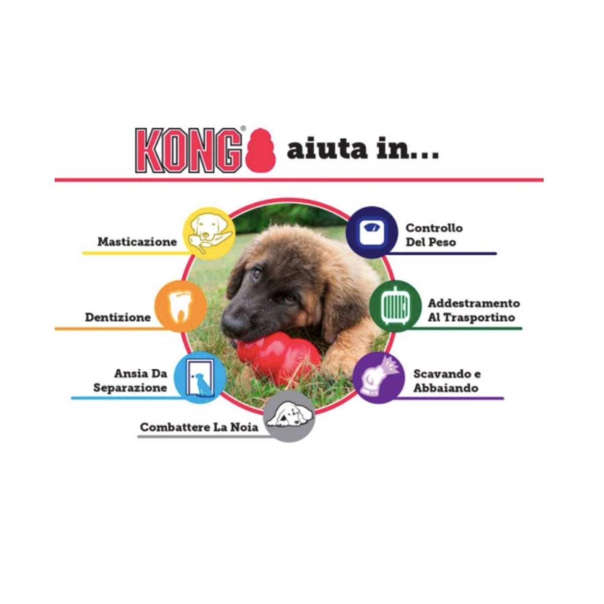 Kong Classic Gioco per Cani