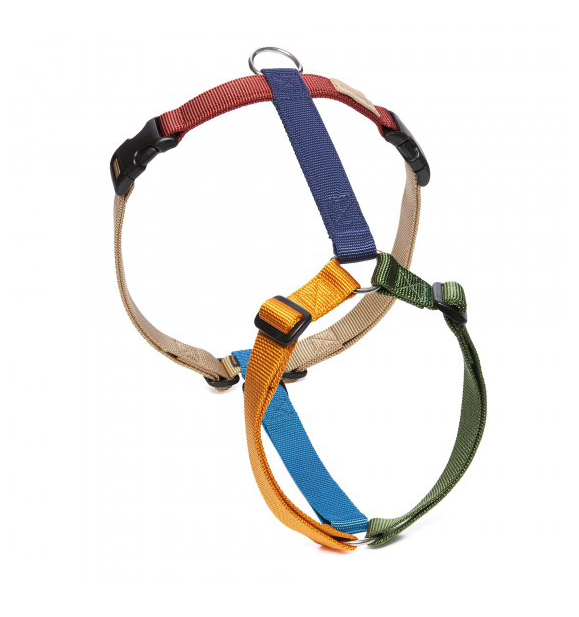 Haqihana Pettorina ad H Multicolor in Nylon per Cani
