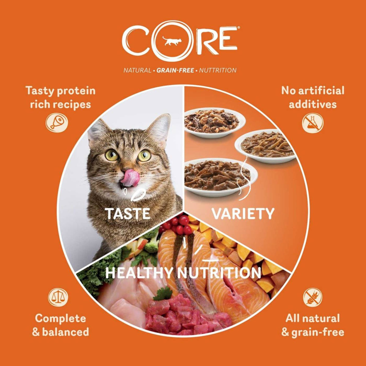 Wellness Core Straccetti per Gatti Pollo con Fegato 79 g Selezione Esclusiva