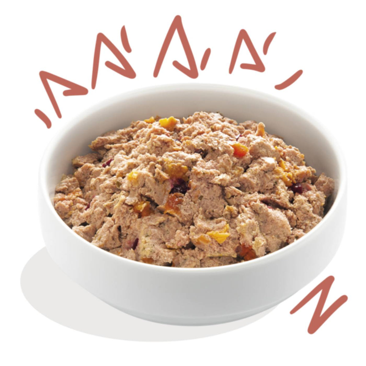 Edgard &amp; Cooper Umido per Cani Senior Pollo e Salmone 150 g