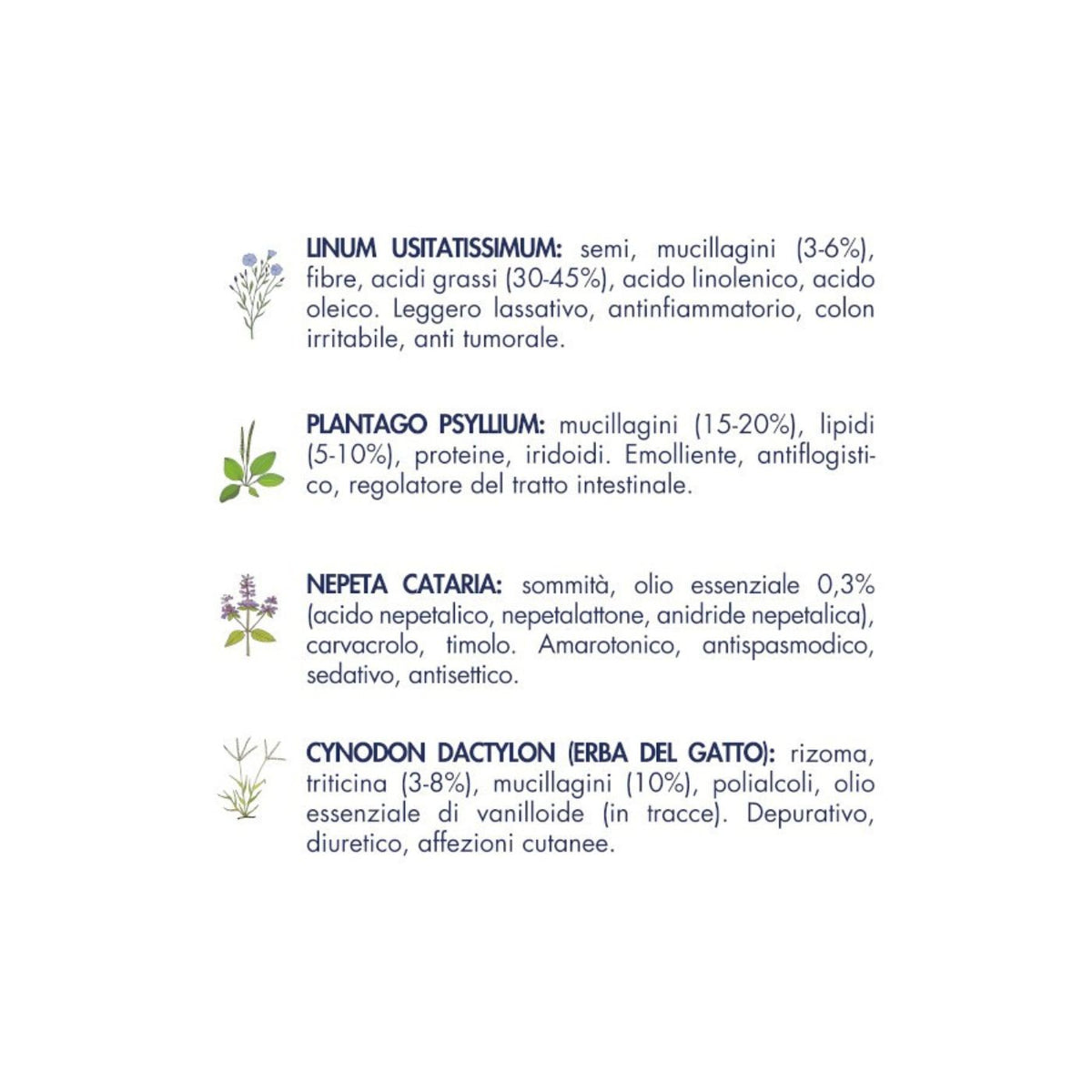 Vet Line Salute Sensi Monoproteico Maiale Grain Free per Gatti Adulti VetLine
