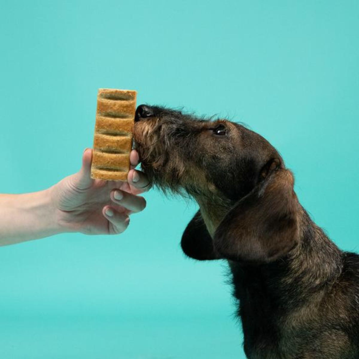 Edgard&amp;Cooper Barretta di Pollo Snack per Cani 30 g
