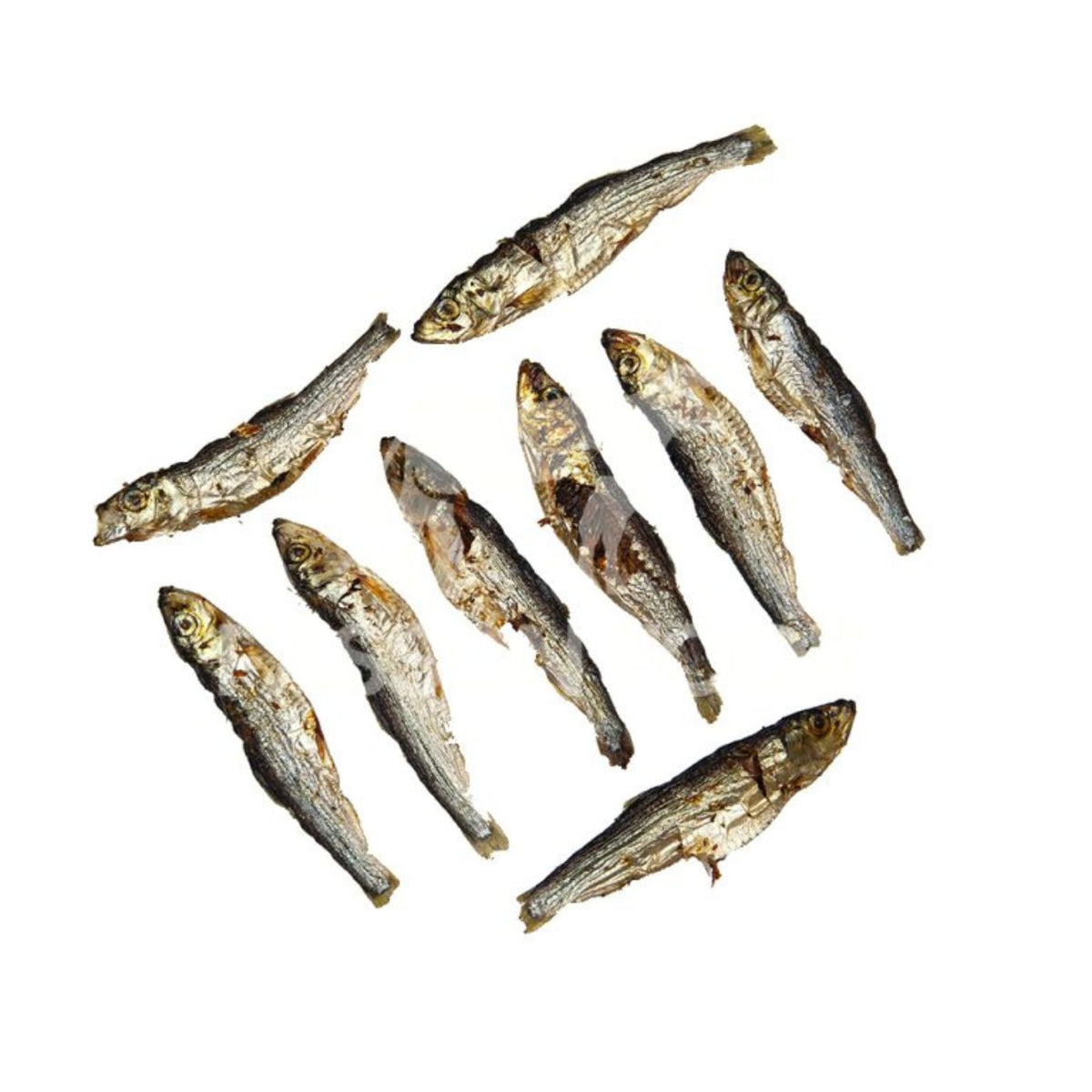 Fasson Food Sardine Essiccate Snack naturale per Cani e Gatti 150 g