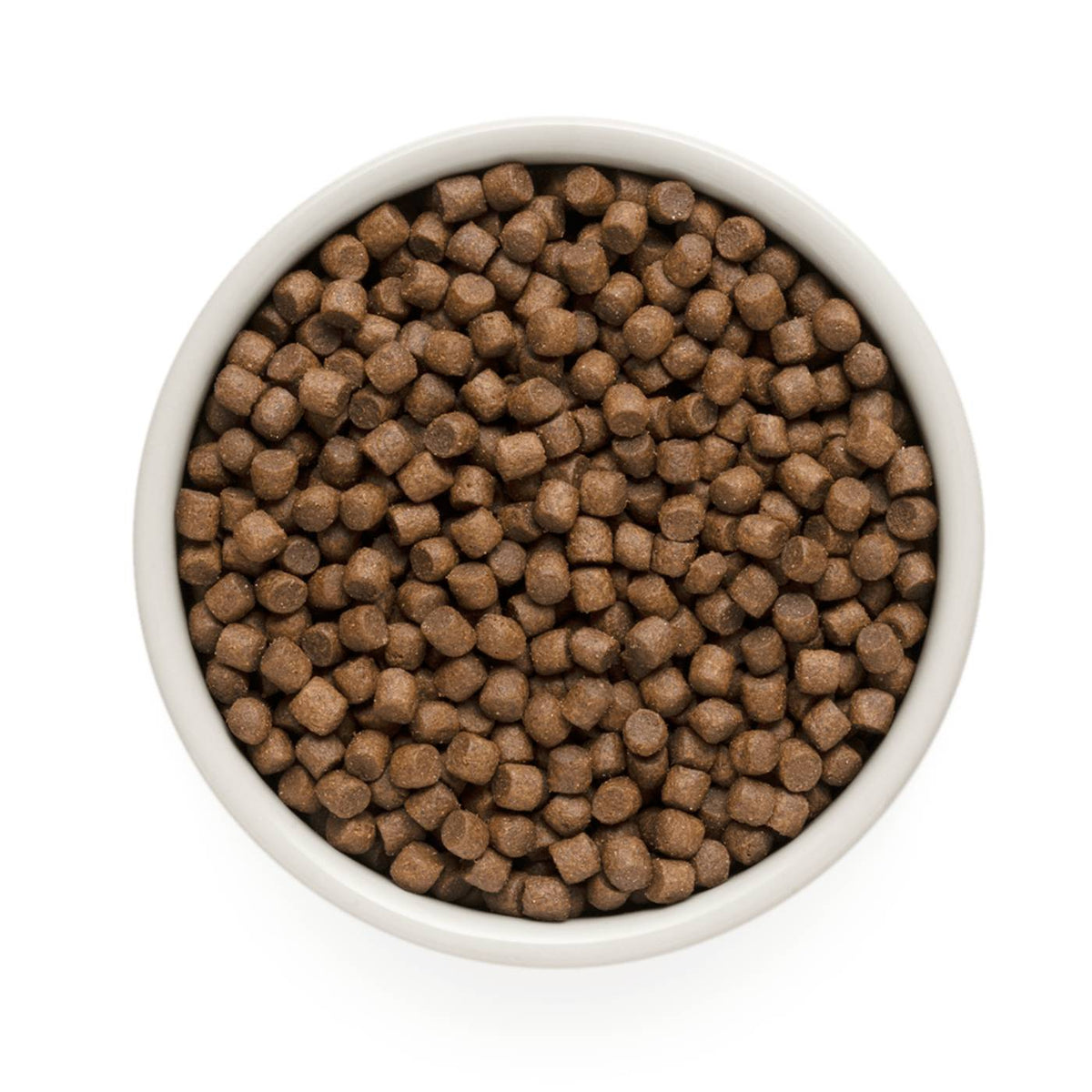 Grandorf Adult MINI Agnello e Tacchino per Cani Adulti Taglia Piccola
