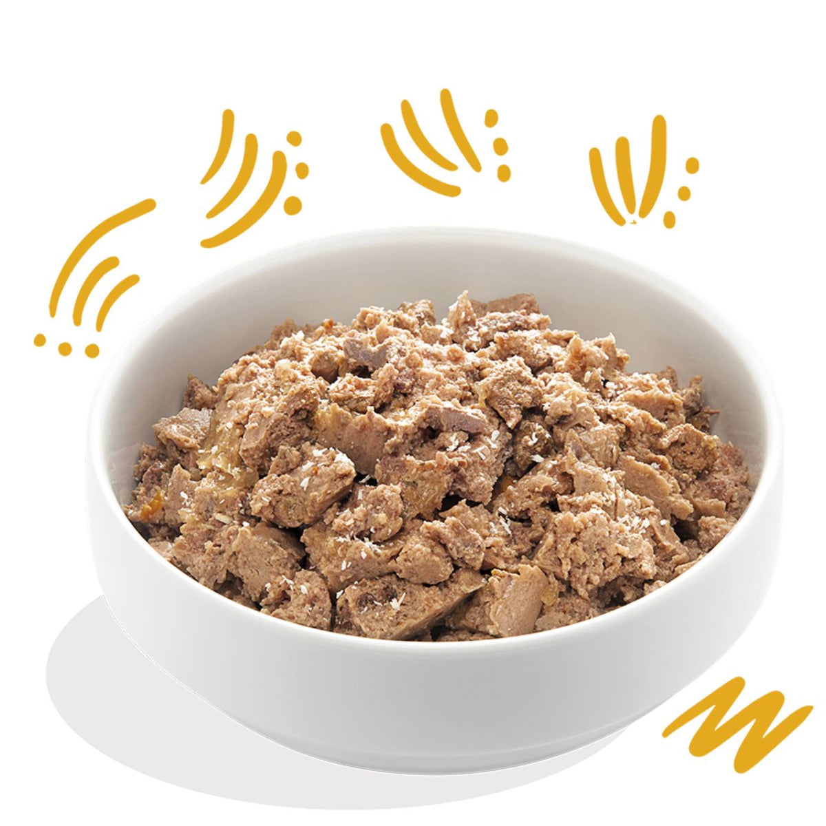 Edgard &amp; Cooper Tacchino Biologico con Cocco e Semi di Chia per Cani 100 g