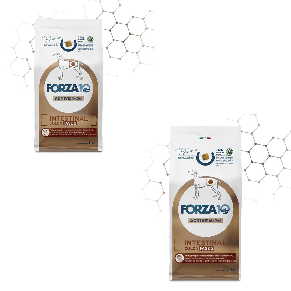 Forza 10 Intestinal Colon Fase 2 Active Pesce per Cani Adulti