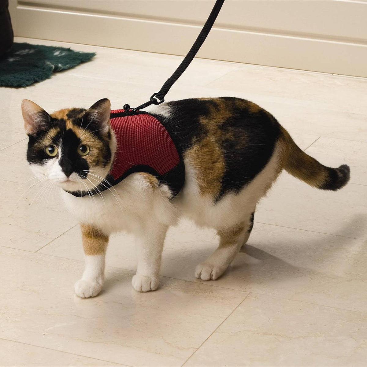Beeztees Pettorina Comfort per Gatti