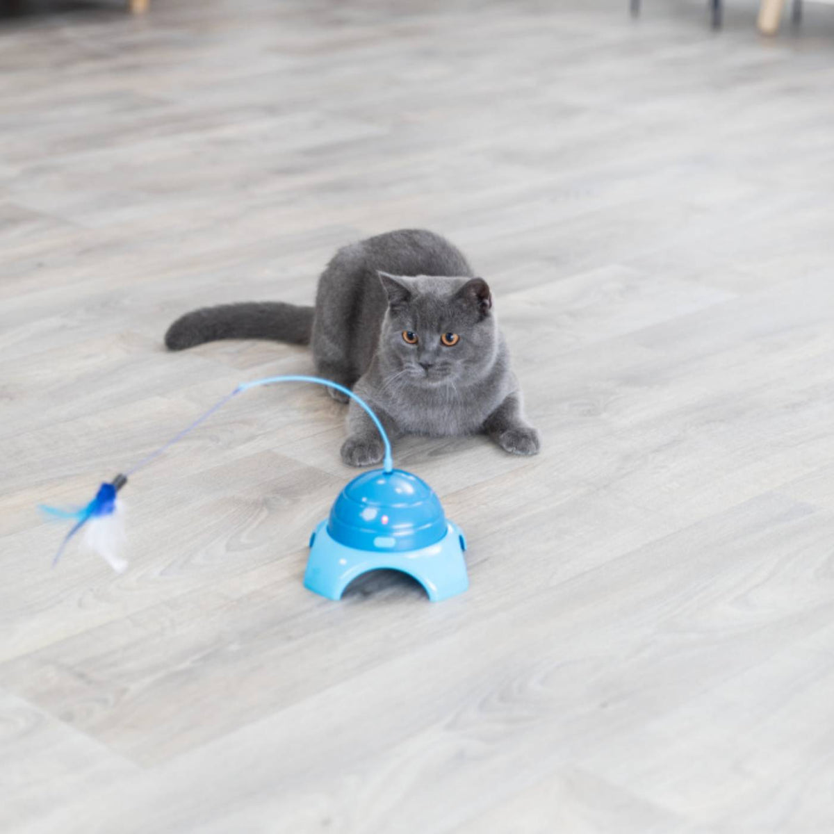 Trixie Gioco Catch Me ø 15 x 21 cm per Gatti in Platica con Telecomando